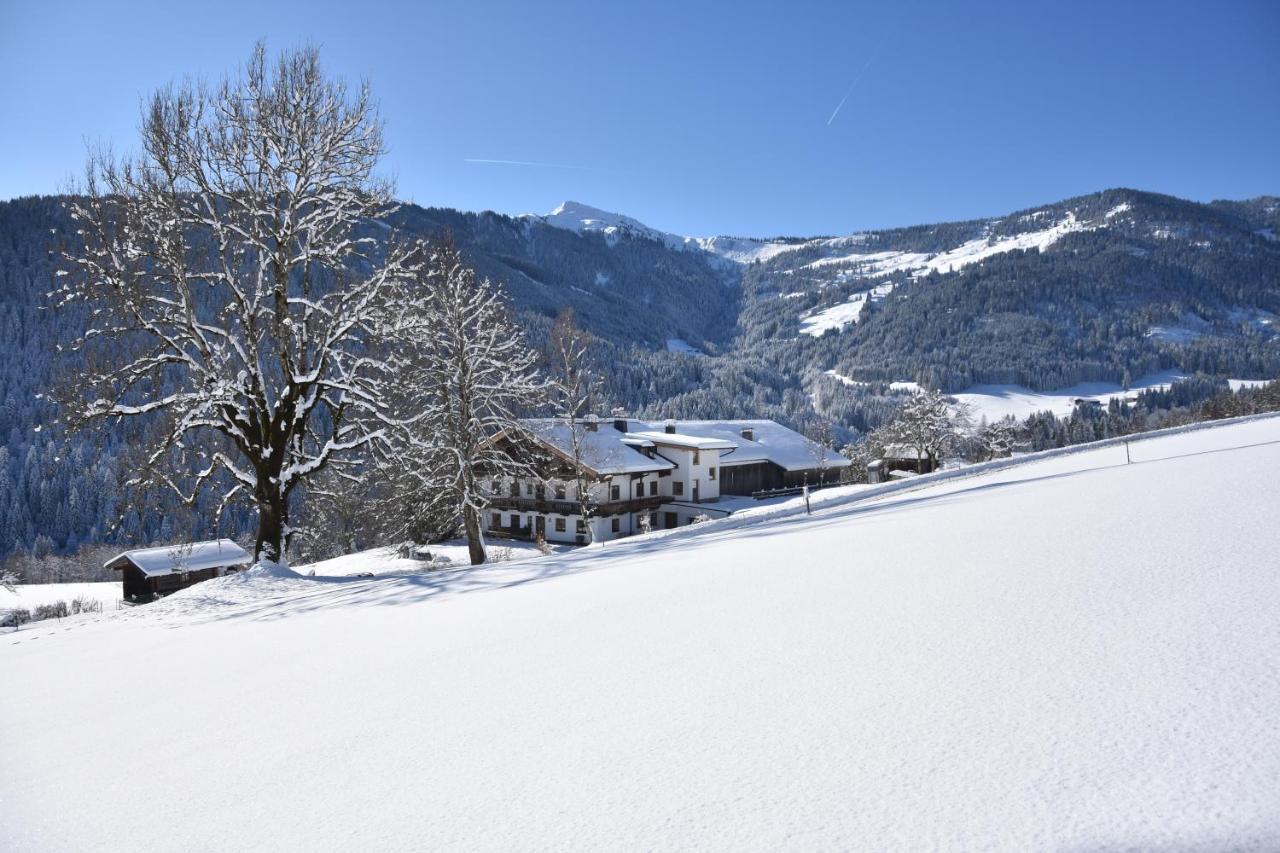 Fuchsbauer *